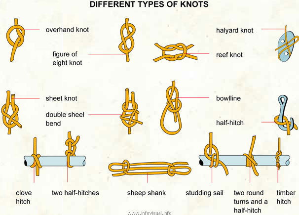 Different types of knots  (Visual Dictionary)